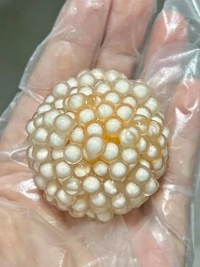 不愧被央视点名，巨巨巨好吃。