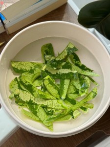 低估了西瓜皮煮水，喝完就好了。