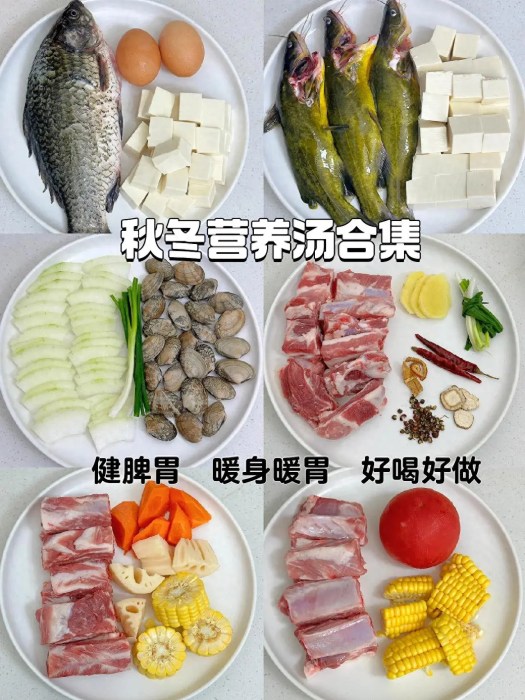 6款超适合秋冬喝的营养汤，暖身暖胃巨好喝。