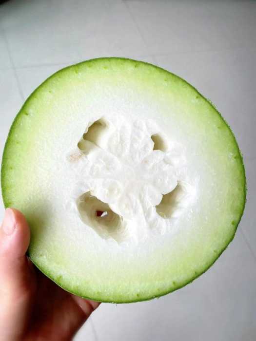 现在开始吃冬瓜，热天就会很舒服。