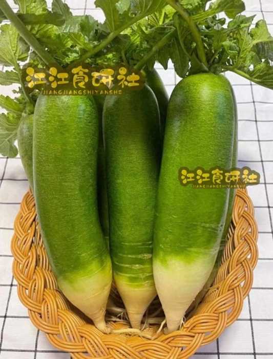 冬天遇见它使劲吃，生吃利水消肿，熟吃化痰止咳，错过了真可惜！