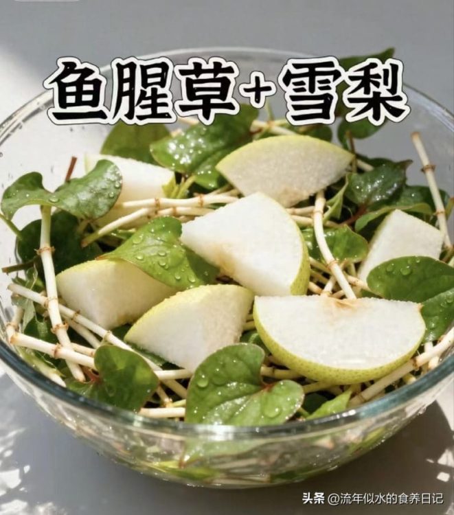 雪梨+鱼腥草是绝配！试了3天，太管用了，省钱还实用