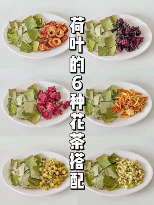 祛湿刮油一步到位！荷叶茶，好喝管用，越喝越轻松