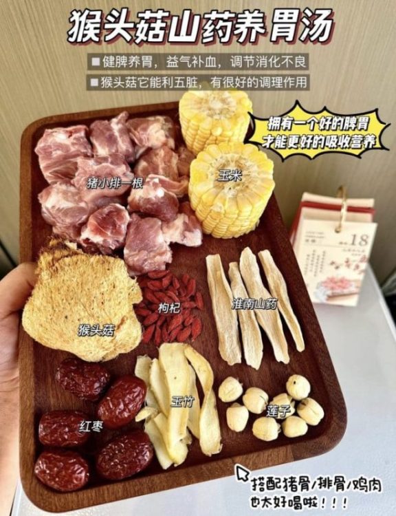 玻璃胃、脾胃差？多喝猴头菇养胃汤🥣