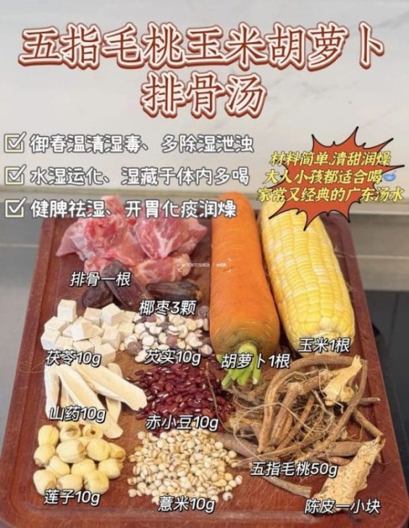 脾胃虚弱、湿气重，多喝五指毛桃汤🥣健脾祛湿